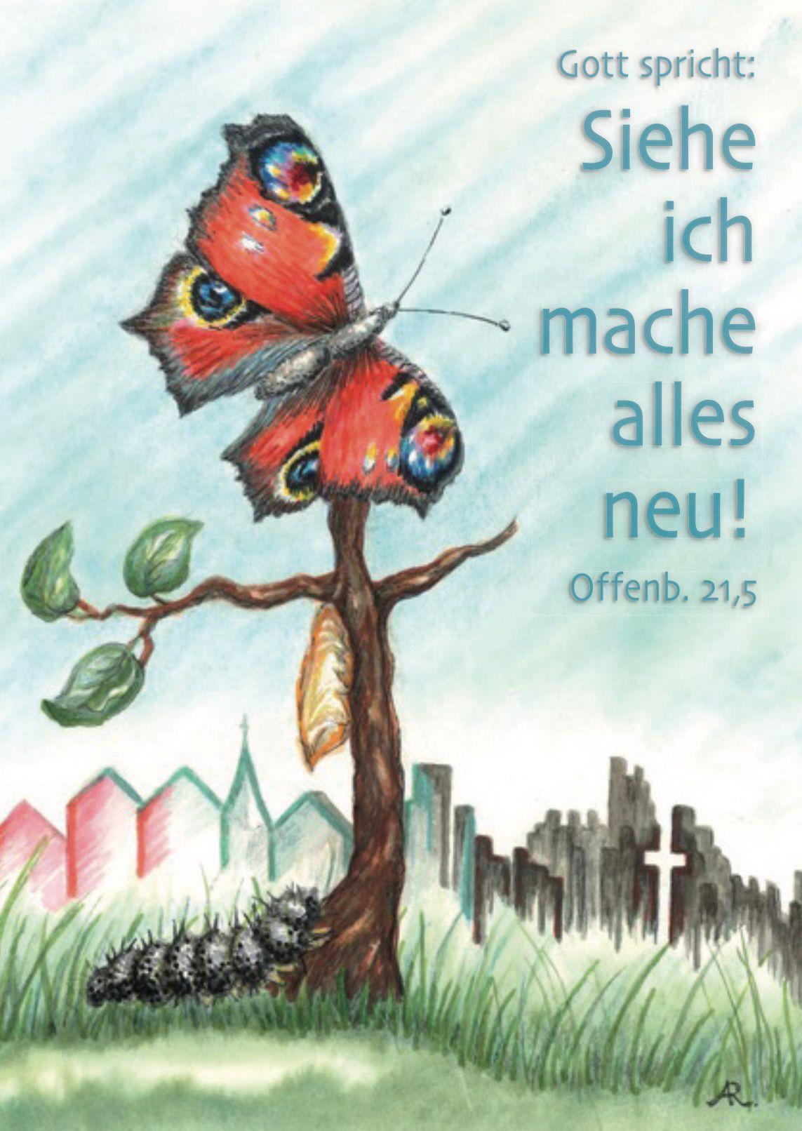 Neujahrs Godi 1 - 1 / 2